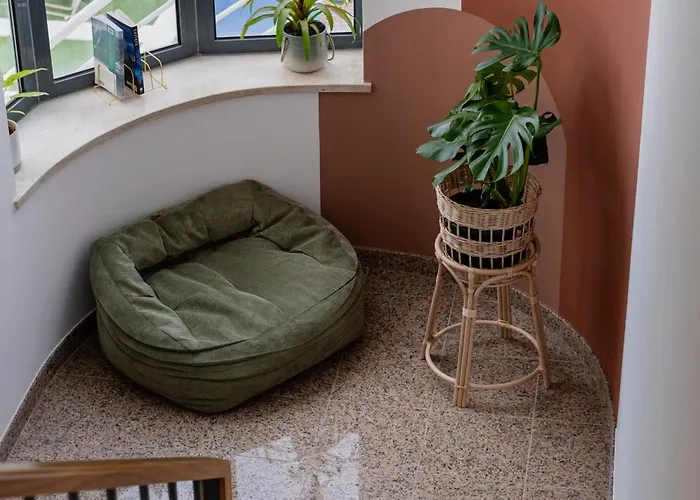 Surfinn Figueira Da Foz * Buarcos